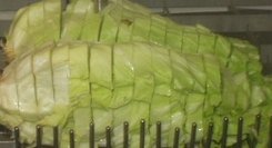Salade